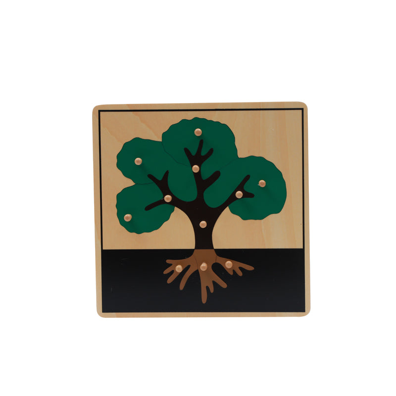 3 puzzles de botanique - cabinet de botanique Montessori