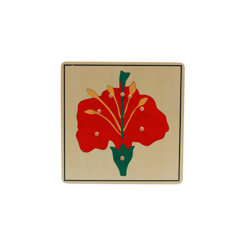 3 puzzles de botanique - cabinet de botanique Montessori
