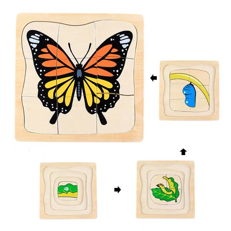 Puzzle Montessori - cycle de vie du papillon