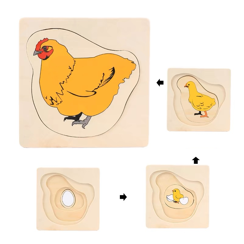 Puzzle en bois Montessori du cycle de la poule avec pièces œuf, poussin et poule adulte.