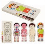 Puzzle anatomie garçon - 5 couches en bois
