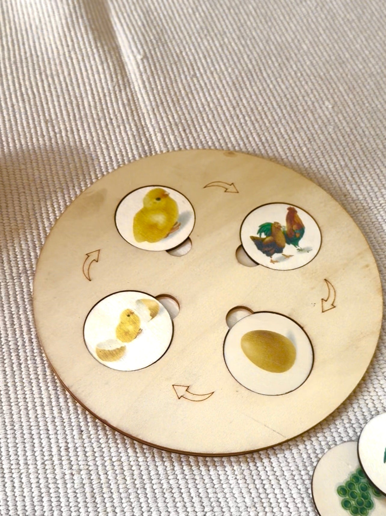 Coffret des cycles de vie