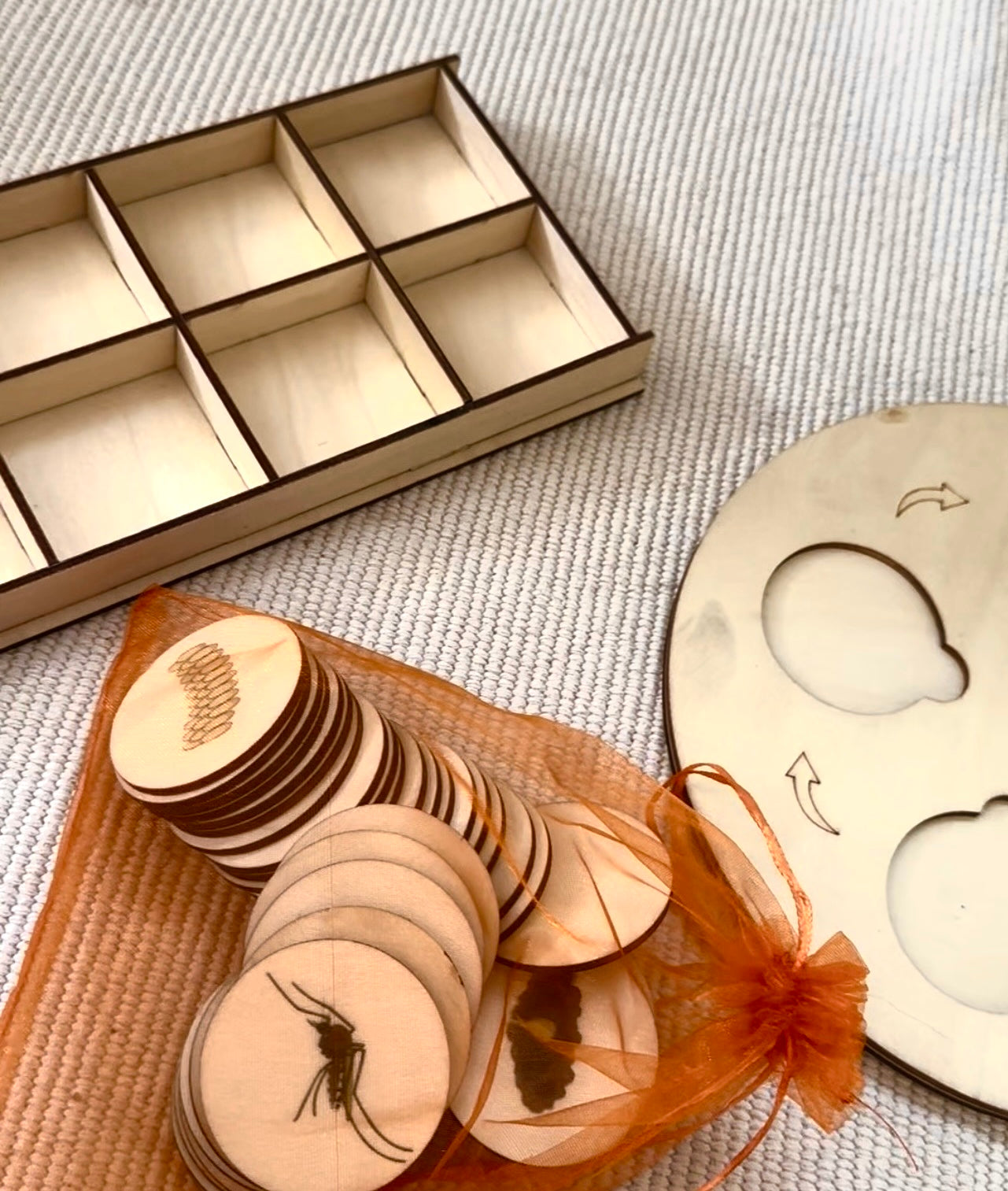Coffret des cycles de vie
