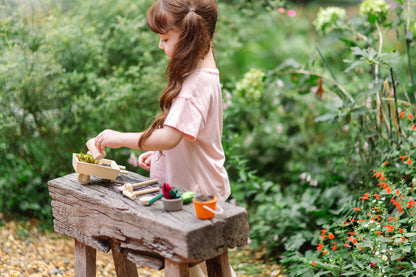 Brouette de jardin en bois PlanToys