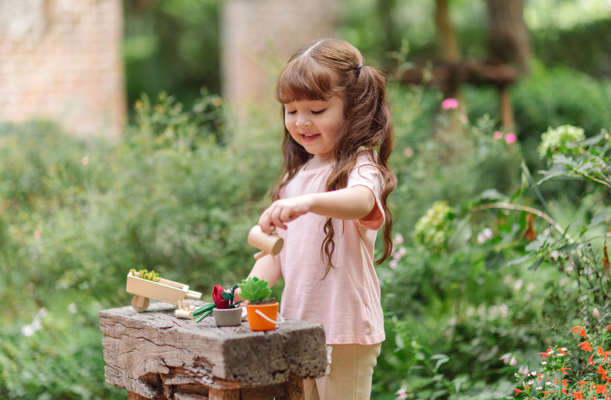 Brouette de jardin en bois PlanToys