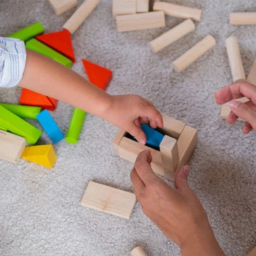 40 blocs de construction en bois PlanToys