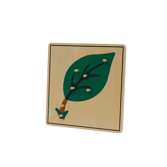3 puzzles de botanique - cabinet de botanique Montessori
