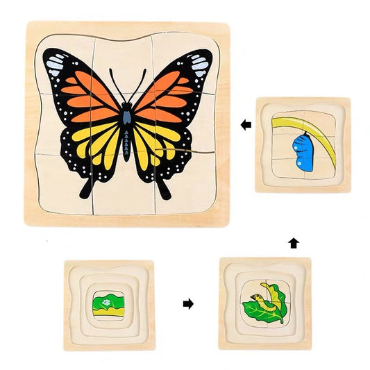 Puzzle Montessori - cycle de vie du papillon