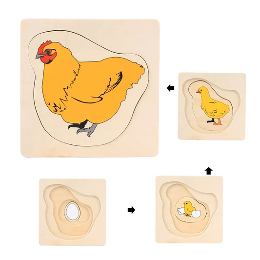 Puzzle en bois Montessori du cycle de la poule avec pièces œuf, poussin et poule adulte.