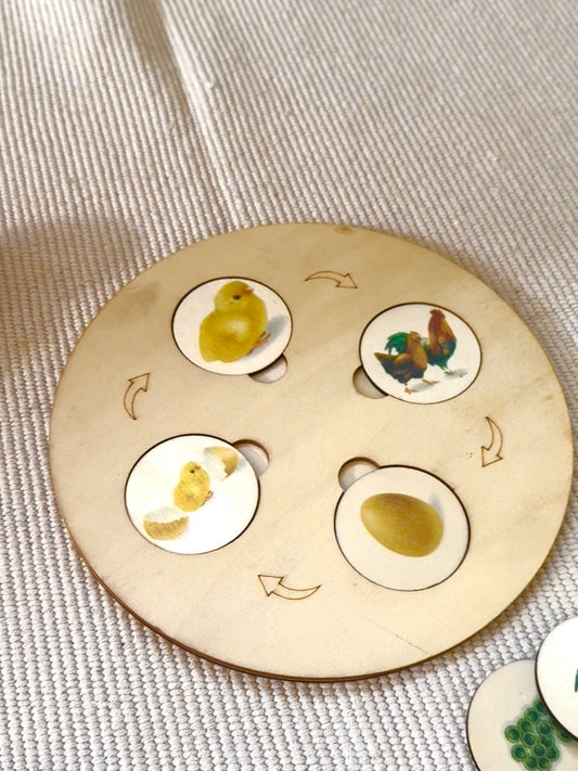 Coffret des cycles de vie