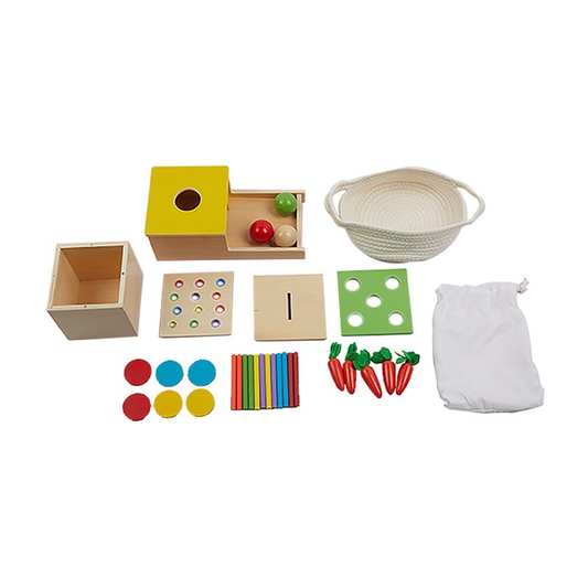 Coffret Montessori 5 jeux éducatifs en bois avec boîte de permanence, jetons, puzzle, carottes à encastrer et bâtonnets colorés