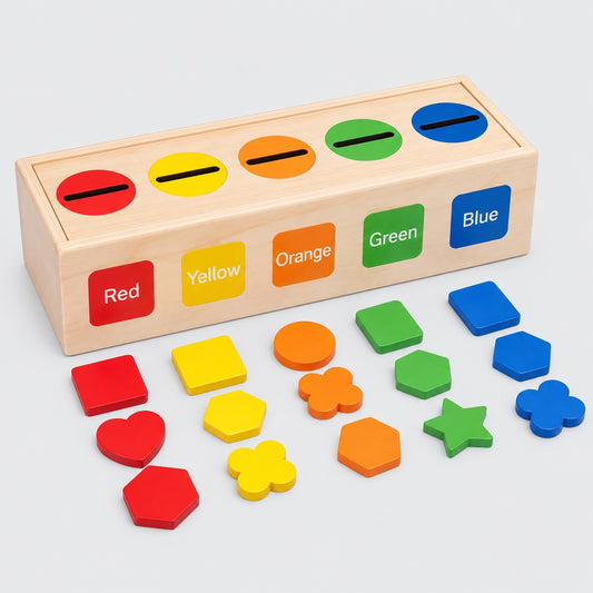 Boîte de tri des couleurs Montessori