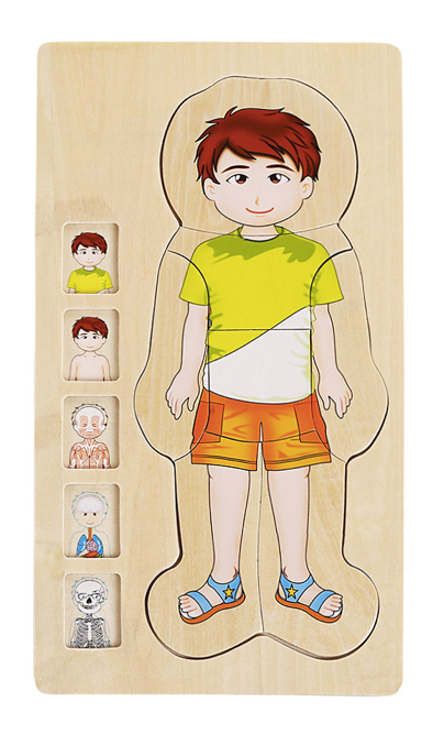 Puzzle Montessori en bois 5 couches garçon pour apprendre l’anatomie humaine dès 4 ans